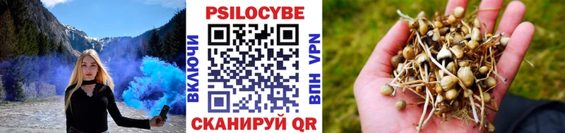 хочу   МЕГА онион  Псилоцибиновые грибы MAGIC MUSHROOMS  Канск 