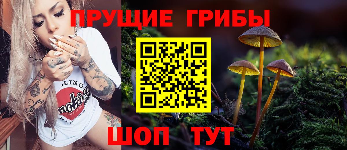 Галлюциногенные грибы Psilocybine cubensis  Вход с VPN  Канск  купить   Псилоцибиновые грибы Magic Shrooms 